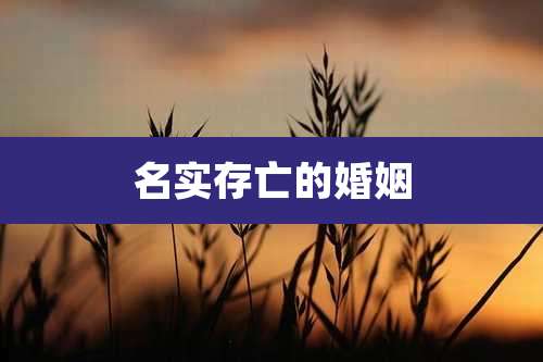 名实存亡的婚姻