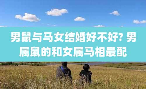 男鼠与马女结婚好不好? 男属鼠的和女属马相最配
