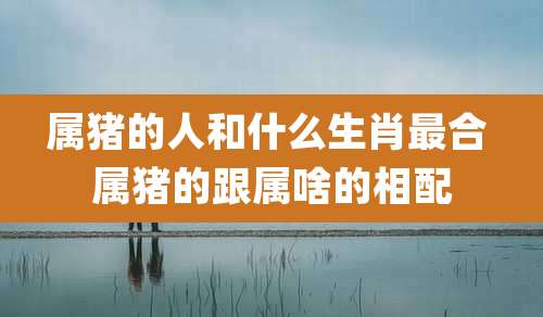 属猪的人和什么生肖最合 属猪的跟属啥的相配