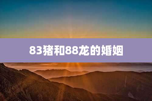 83猪和88龙的婚姻