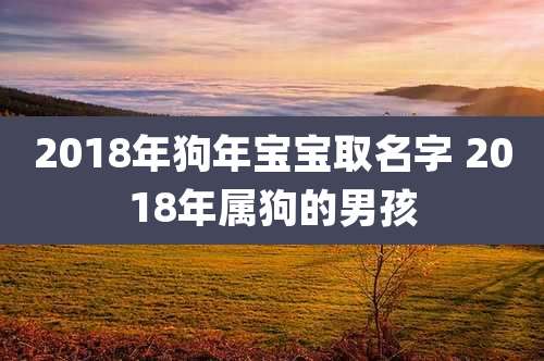 2018年狗年宝宝取名字 2018年属狗的男孩