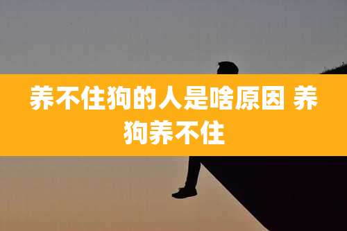 养不住狗的人是啥原因 养狗养不住