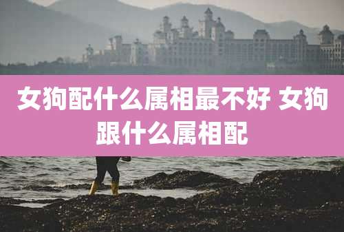女狗配什么属相最不好 女狗跟什么属相配