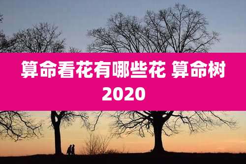 算命看花有哪些花 算命树2020