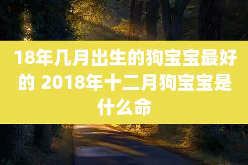 18年几月出生的狗宝宝最好的 2018年十二月狗宝宝是什么命