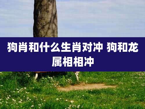 狗肖和什么生肖对冲 狗和龙属相相冲