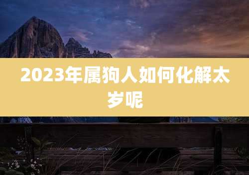 2023年属狗人如何化解太岁呢