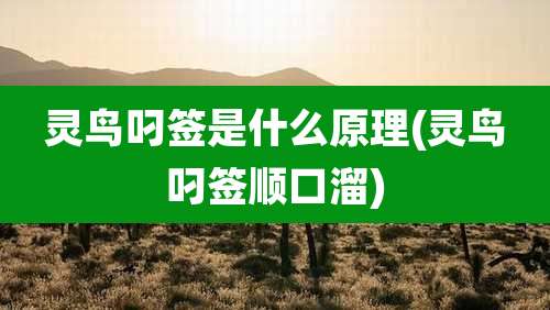 灵鸟叼签是什么原理(灵鸟叼签顺口溜)