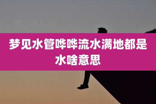 梦见水管哗哗流水满地都是水啥意思