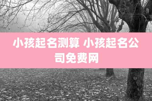 小孩起名测算 小孩起名公司免费网
