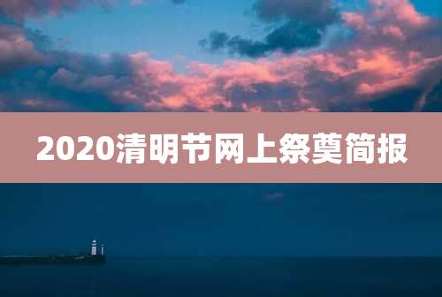 2020清明节网上祭奠简报