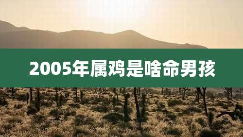 2005年属鸡是啥命男孩