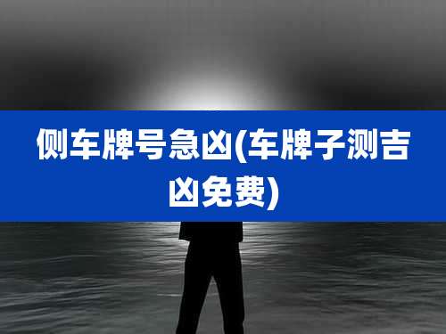 侧车牌号急凶(车牌子测吉凶免费)