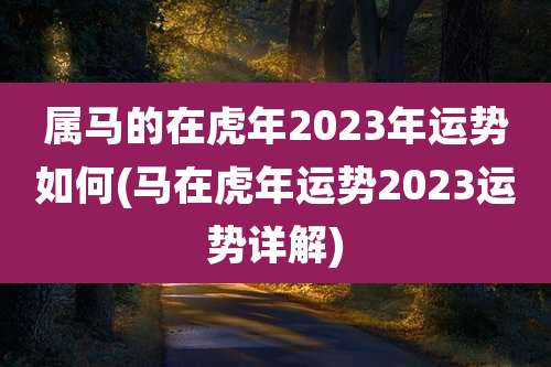 属马的在虎年2023年运势如何(马在虎年运势2023运势详解)