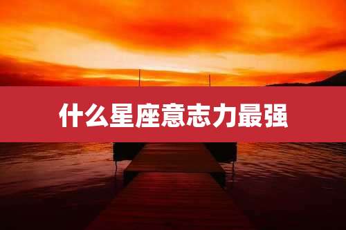 什么星座意志力最强