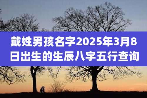 戴姓男孩名字2025年3月8日出生的生辰八字五行查询