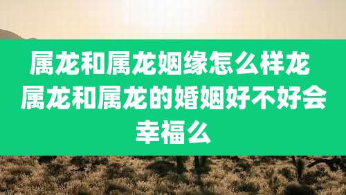 属龙和属龙姻缘怎么样龙 属龙和属龙的婚姻好不好会幸福么