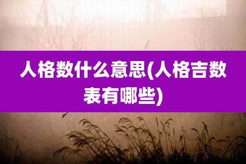人格数什么意思(人格吉数表有哪些)
