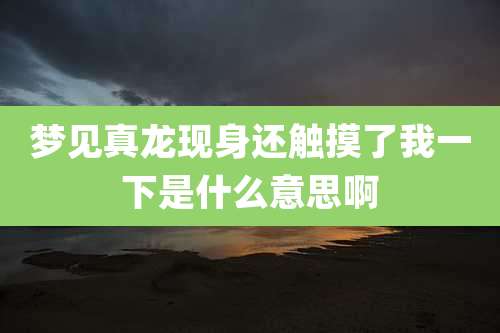 梦见真龙现身还触摸了我一下是什么意思啊