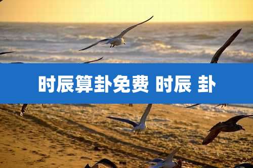 时辰算卦免费 时辰 卦