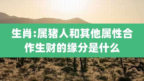 生肖:属猪人和其他属性合作生财的缘分是什么