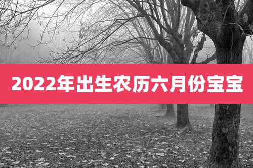 2022年出生农历六月份宝宝