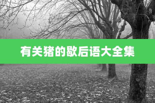 有关猪的歇后语大全集