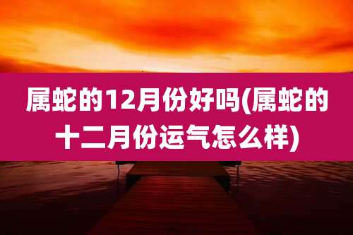 属蛇的12月份好吗(属蛇的十二月份运气怎么样)