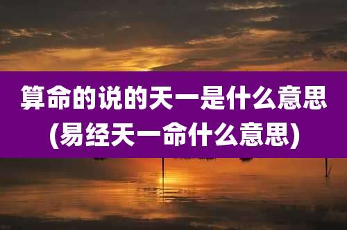 算命的说的天一是什么意思(易经天一命什么意思)