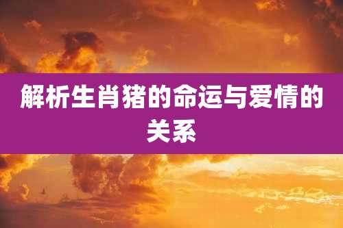 解析生肖猪的命运与爱情的关系
