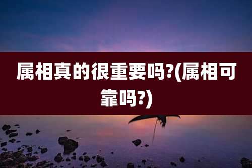 属相真的很重要吗?(属相可靠吗?)