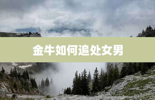 金牛如何追处女男