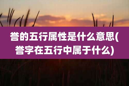 誉的五行属性是什么意思(誉字在五行中属于什么)