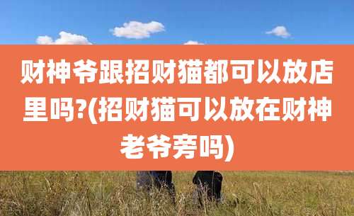 财神爷跟招财猫都可以放店里吗?(招财猫可以放在财神老爷旁吗)