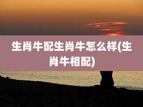 生肖牛配生肖牛怎么样(生肖牛相配)