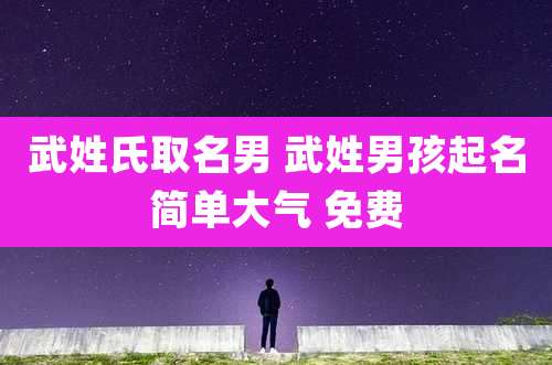 武姓氏取名男 武姓男孩起名简单大气 免费
