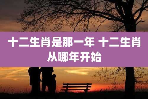 十二生肖是那一年 十二生肖从哪年开始