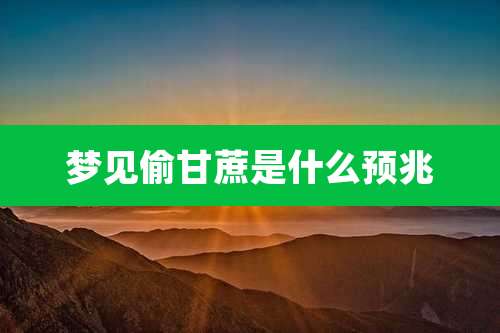 梦见偷甘蔗是什么预兆