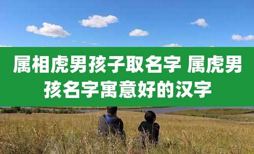 属相虎男孩子取名字 属虎男孩名字寓意好的汉字