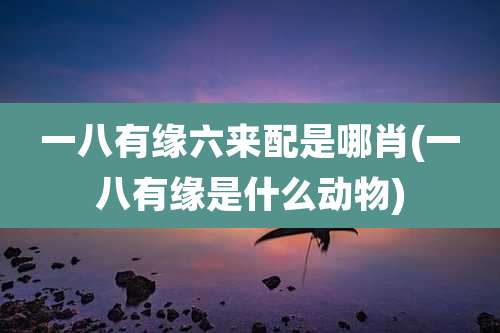一八有缘六来配是哪肖(一八有缘是什么动物)