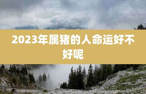 2023年属猪的人命运好不好呢