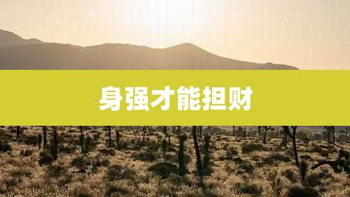 身强才能担财