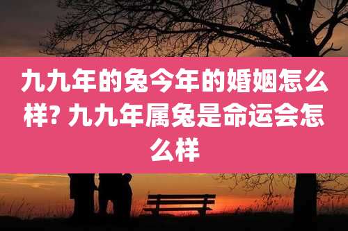 九九年的兔今年的婚姻怎么样? 九九年属兔是命运会怎么样