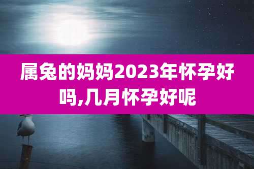属兔的妈妈2023年怀孕好吗,几月怀孕好呢