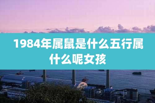 1984年属鼠是什么五行属什么呢女孩