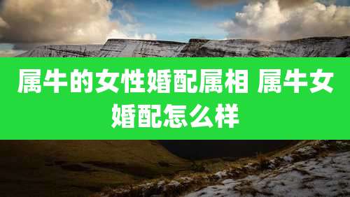 属牛的女性婚配属相 属牛女婚配怎么样