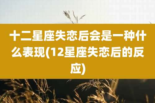 十二星座失恋后会是一种什么表现(12星座失恋后的反应)