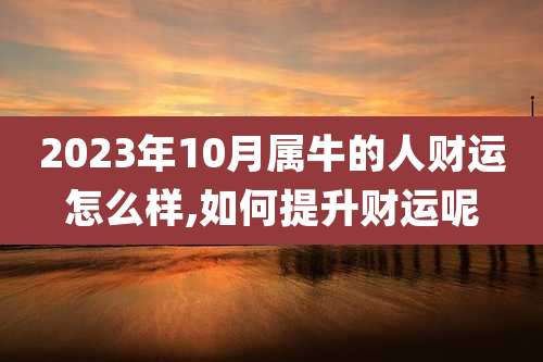2023年10月属牛的人财运怎么样,如何提升财运呢