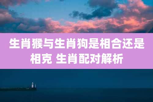 生肖猴与生肖狗是相合还是相克 生肖配对解析