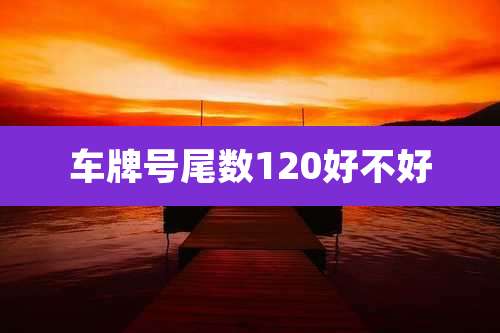 车牌号尾数120好不好